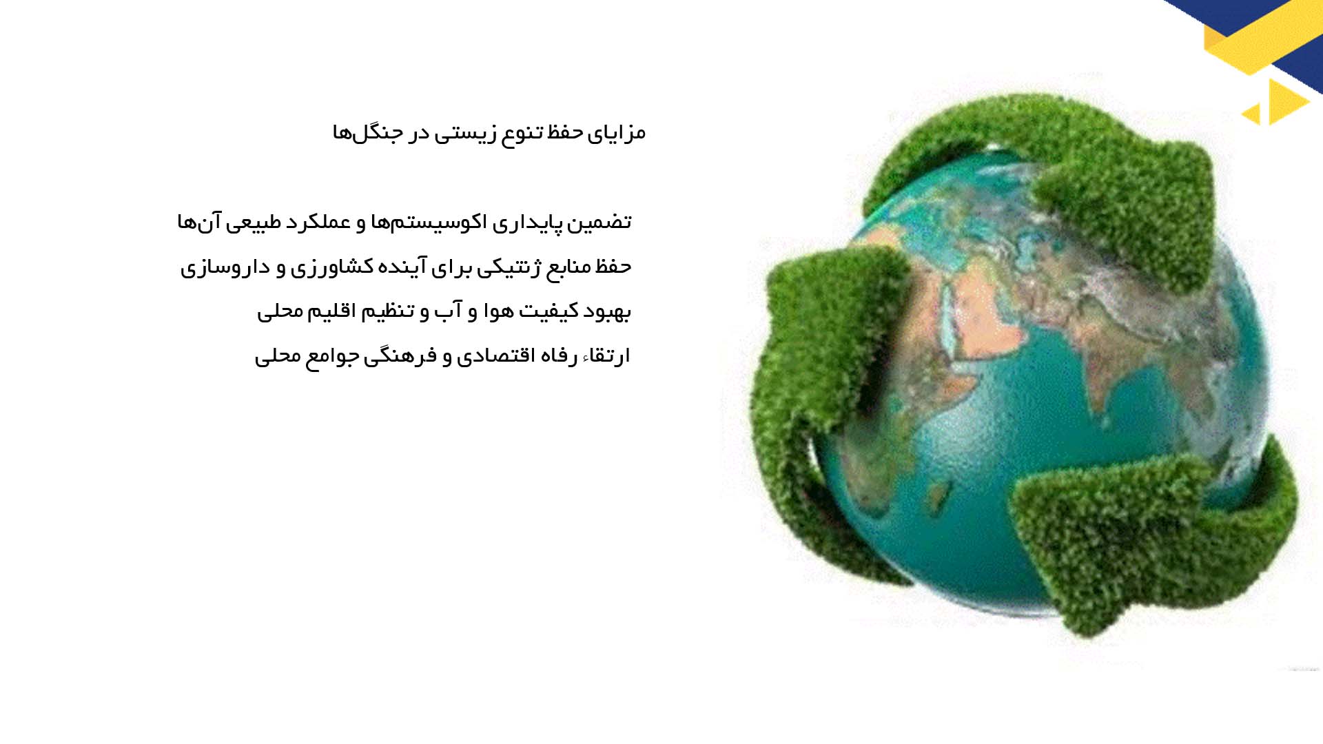 پاورپوینت در مورد جنگل‌ها و تنوع زیستی